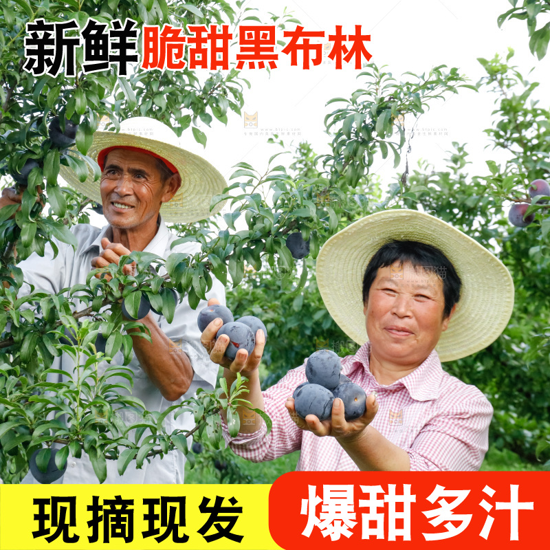 新鲜现摘黑布林