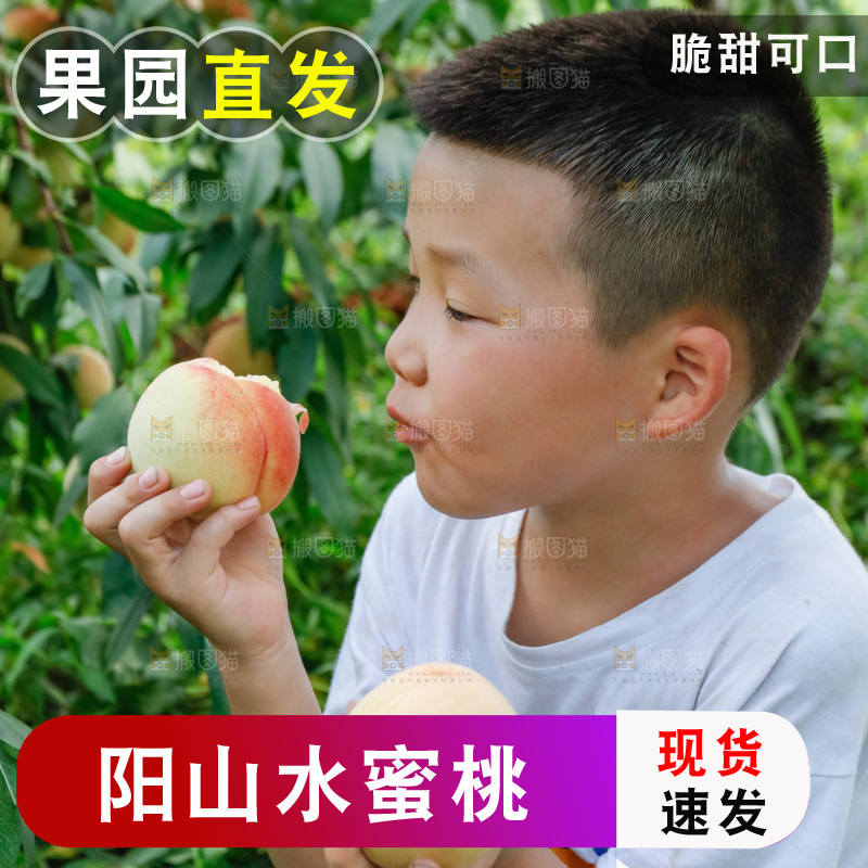 手里拿着现摘水蜜桃