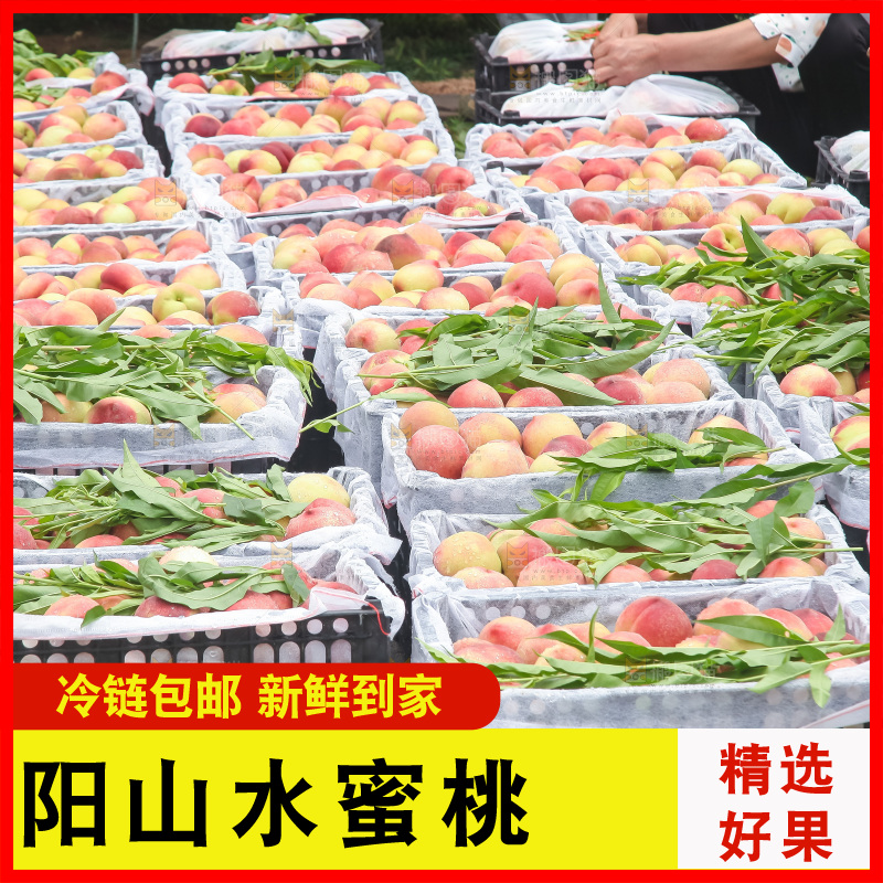 手里拿着现摘水蜜桃