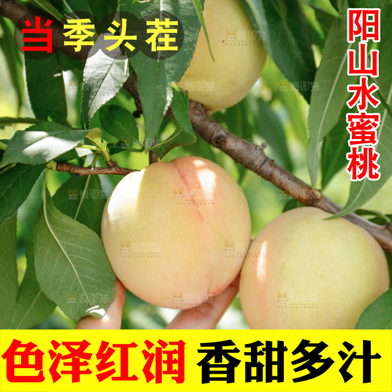 手里拿着现摘水蜜桃