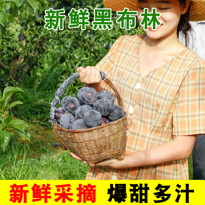 新鲜现摘黑布林