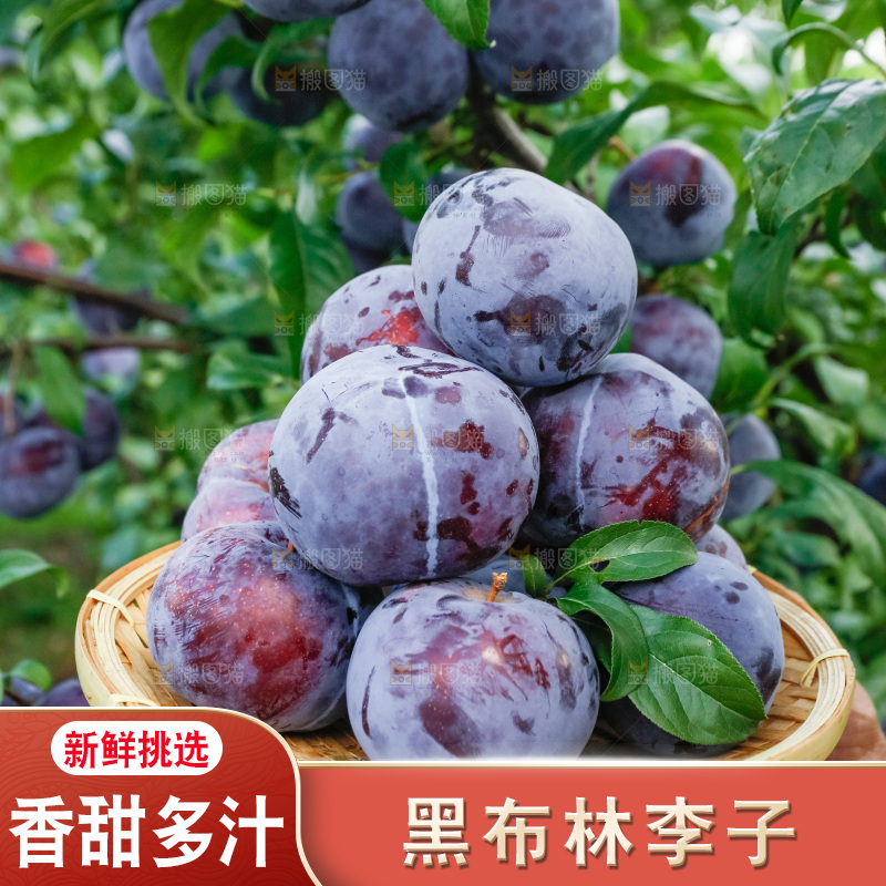 新鲜现摘黑布林