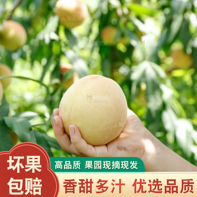 手里拿着现摘水蜜桃