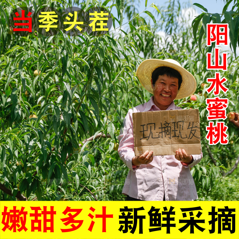 手里拿着现摘水蜜桃