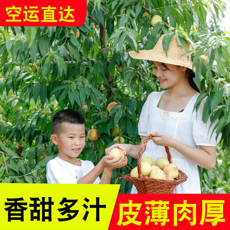 手里拿着现摘水蜜桃