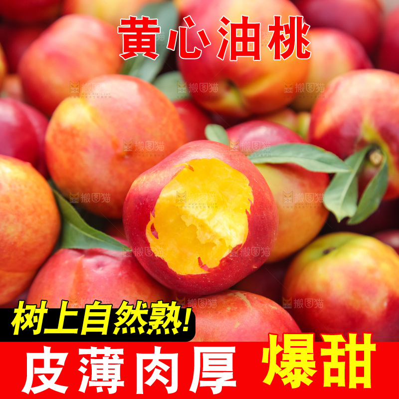 现摘的新鲜黄心油桃