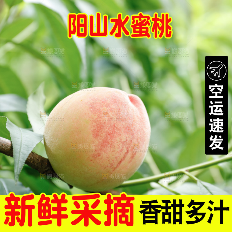 手里拿着现摘水蜜桃