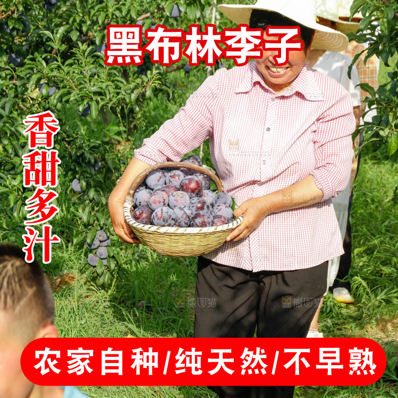 新鲜现摘黑布林