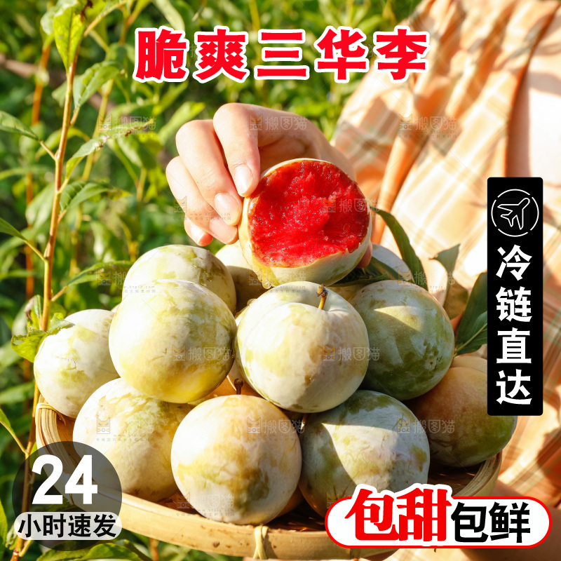 手里拿着红肉三华李