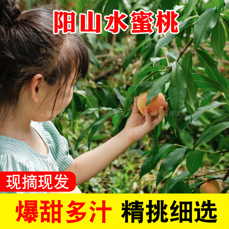 手里拿着现摘水蜜桃