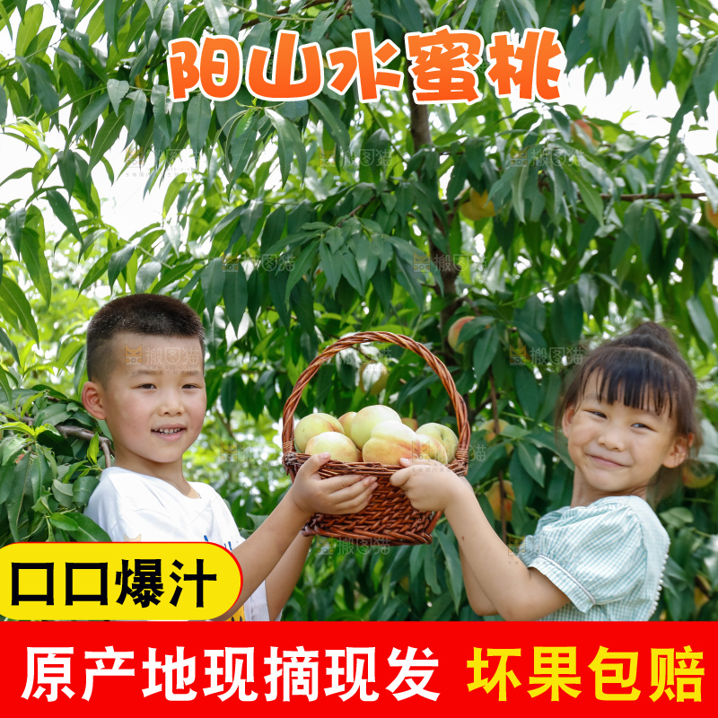 手里拿着现摘水蜜桃