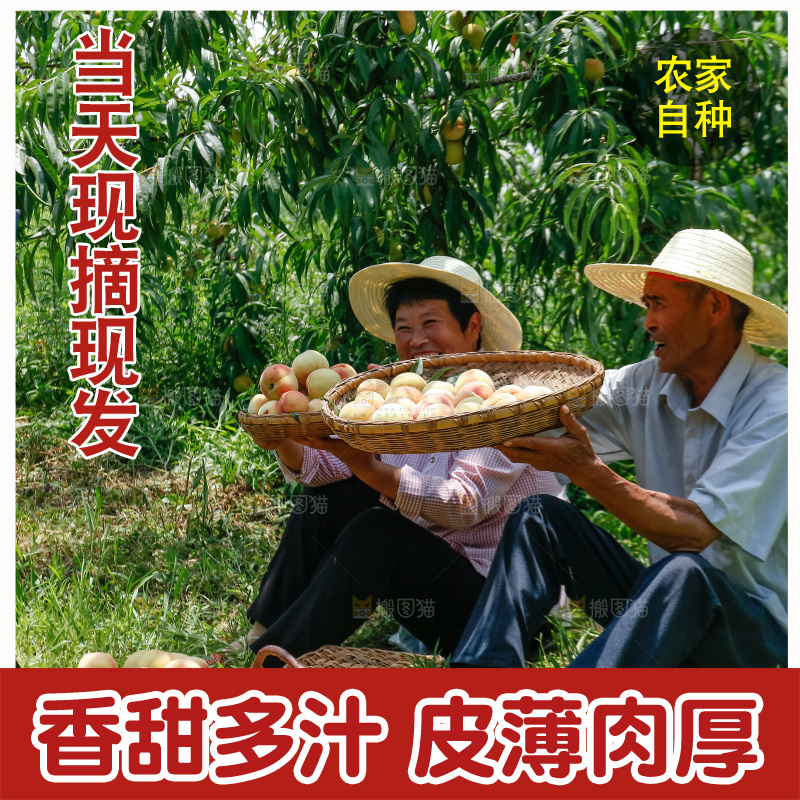手里拿着现摘水蜜桃