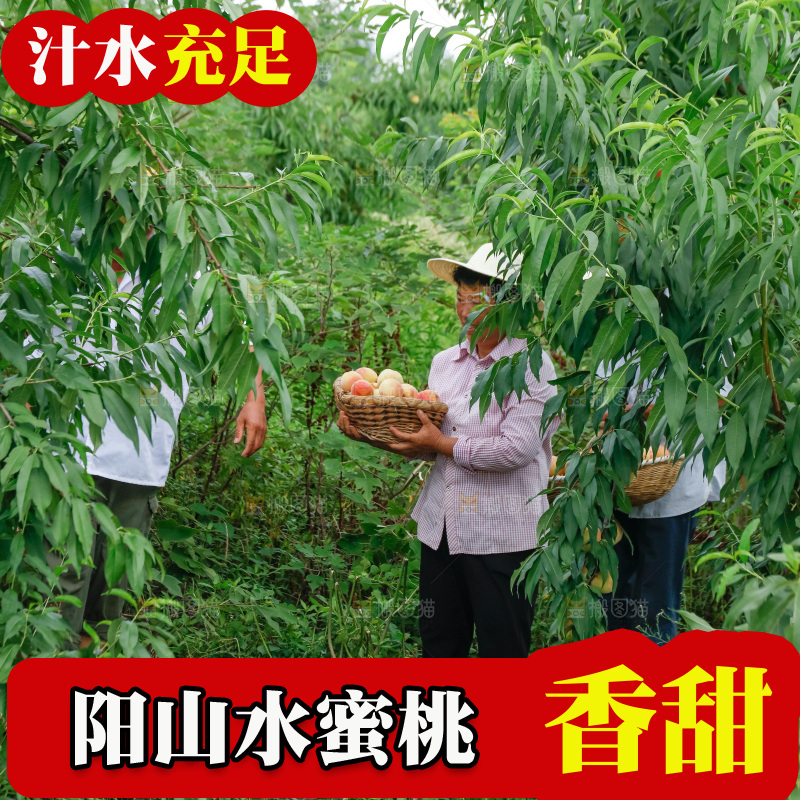 手里拿着现摘水蜜桃