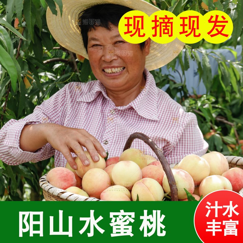 手里拿着现摘水蜜桃