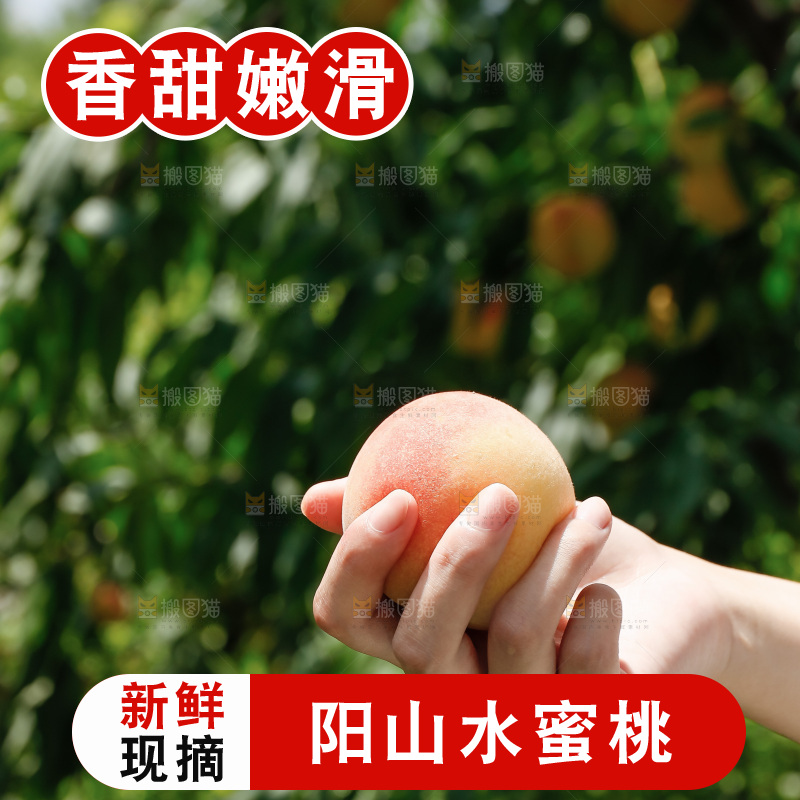 手里拿着现摘水蜜桃