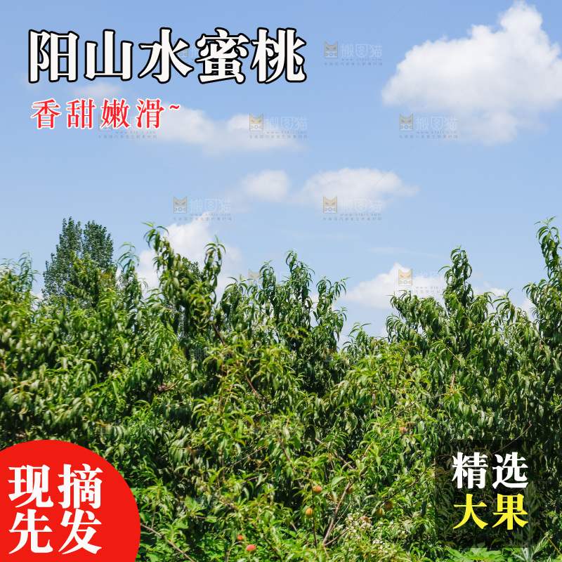 手里拿着现摘水蜜桃