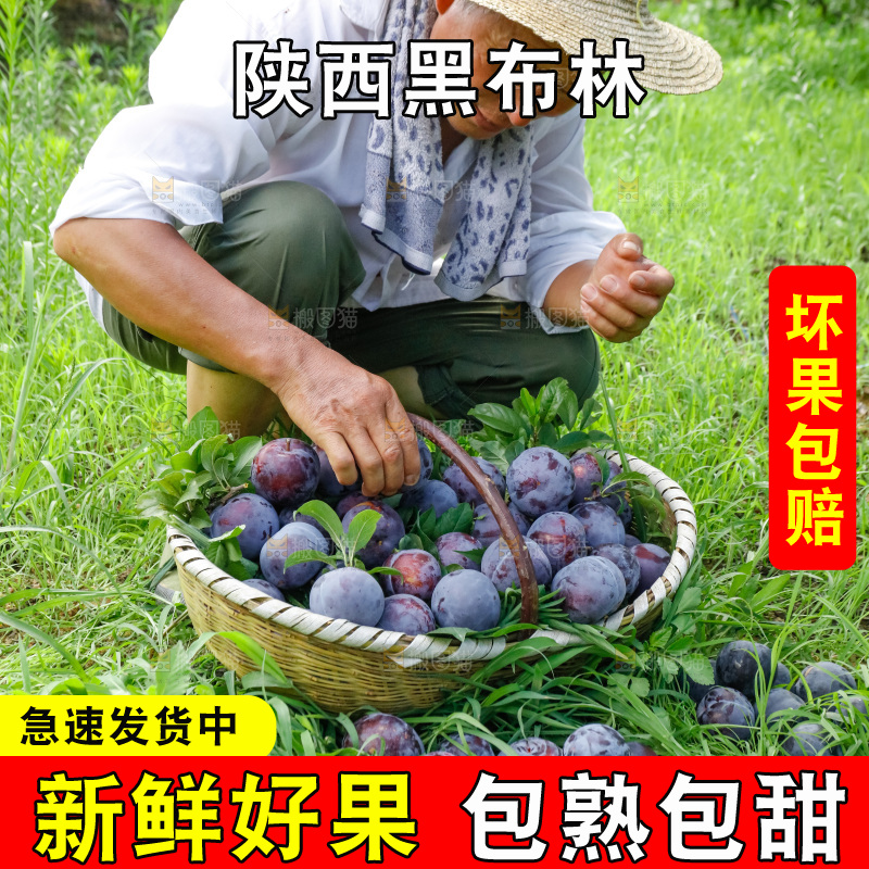 新鲜现摘黑布林