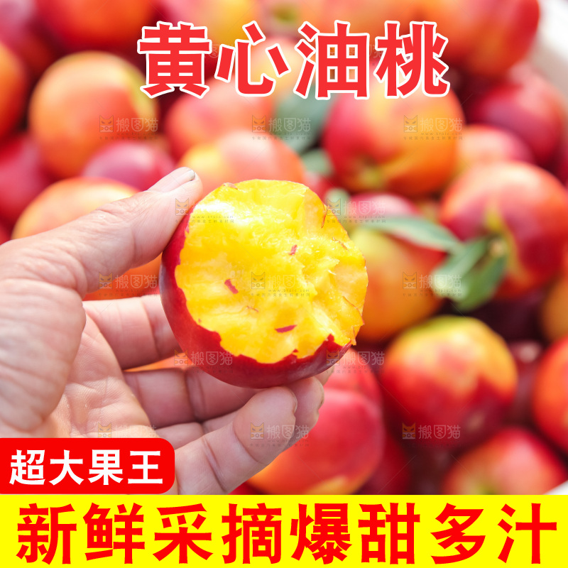 现摘的新鲜黄心油桃