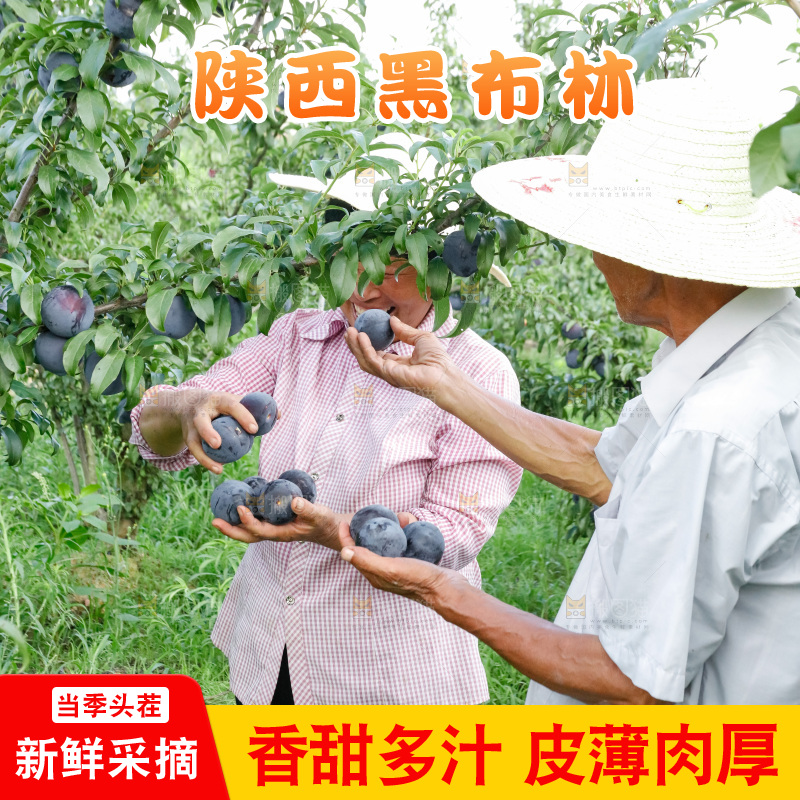 新鲜现摘黑布林