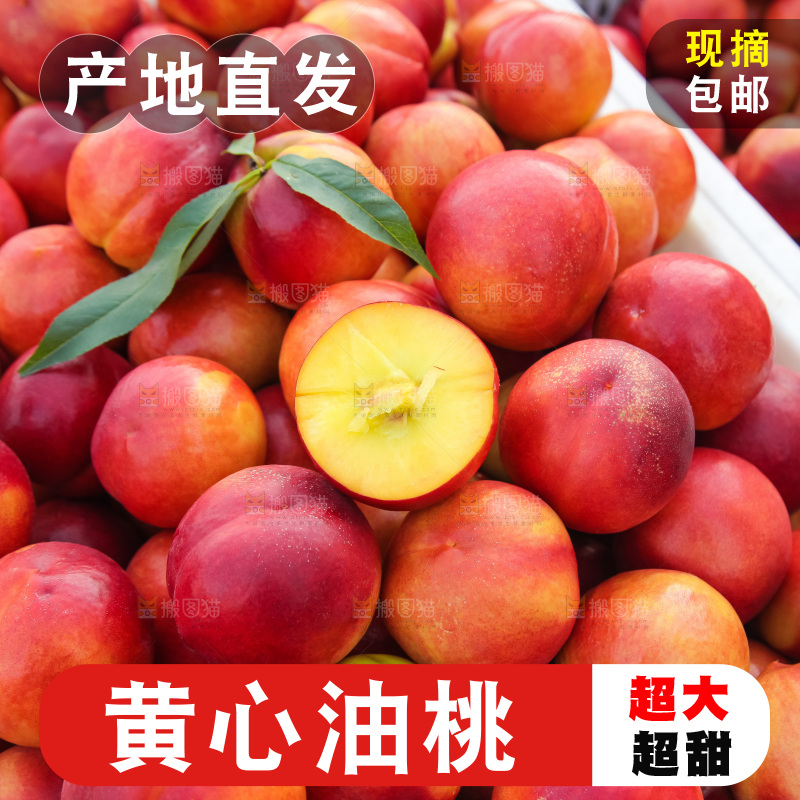 现摘的新鲜黄心油桃