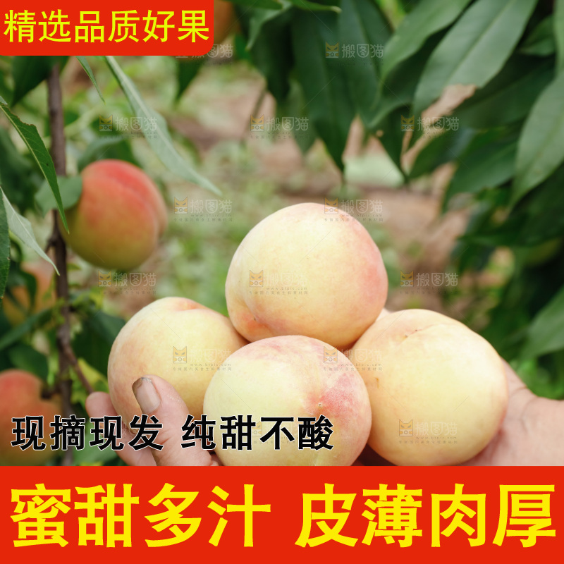 手里拿着现摘水蜜桃