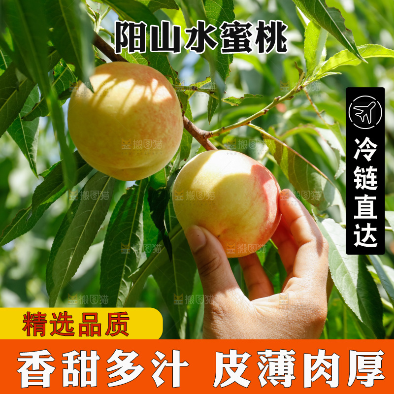 手里拿着现摘水蜜桃