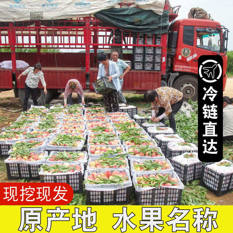 手里拿着现摘水蜜桃