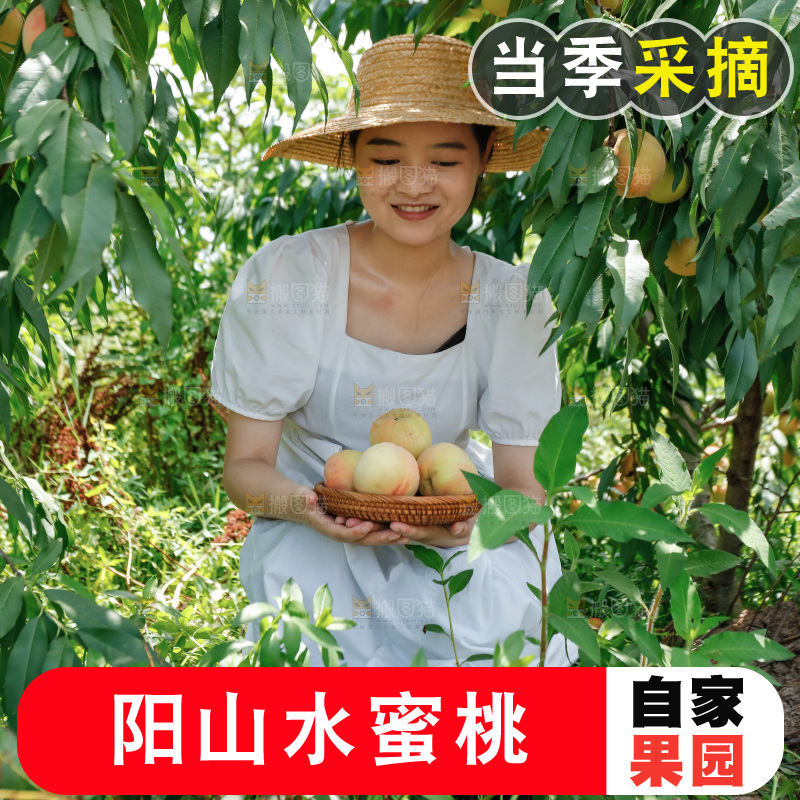 手里拿着现摘水蜜桃