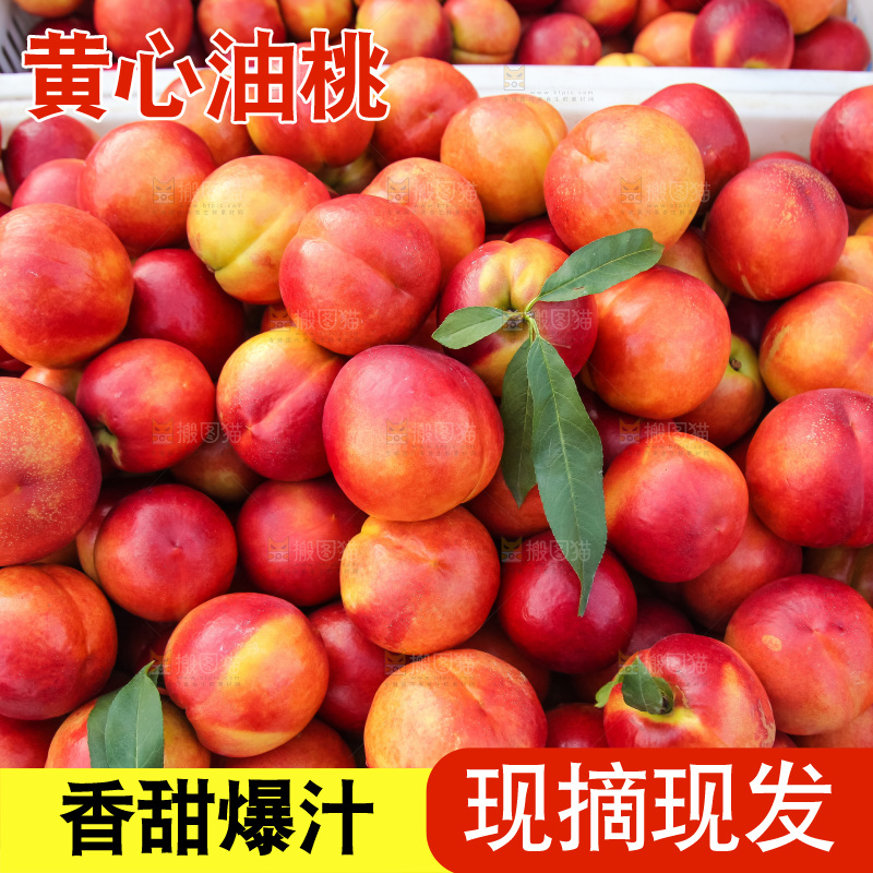 现摘的新鲜黄心油桃