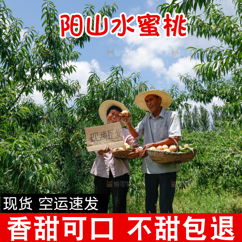 手里拿着现摘水蜜桃