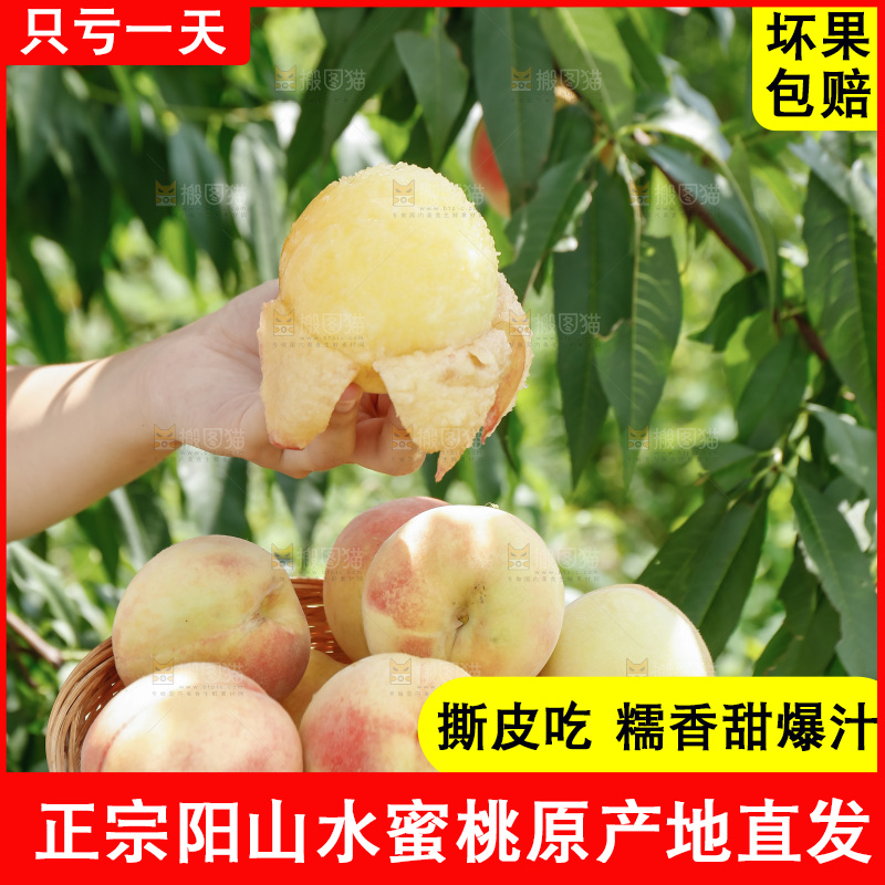 手里拿着现摘水蜜桃