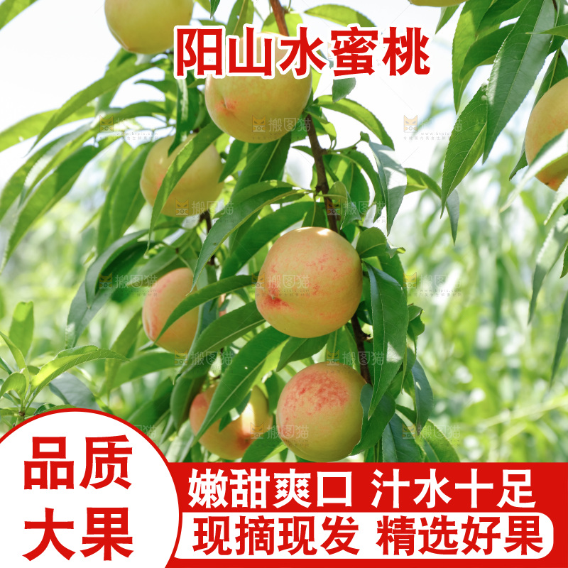手里拿着现摘水蜜桃