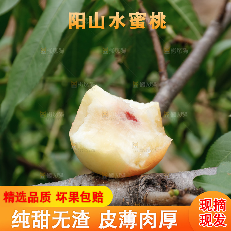 手里拿着现摘水蜜桃