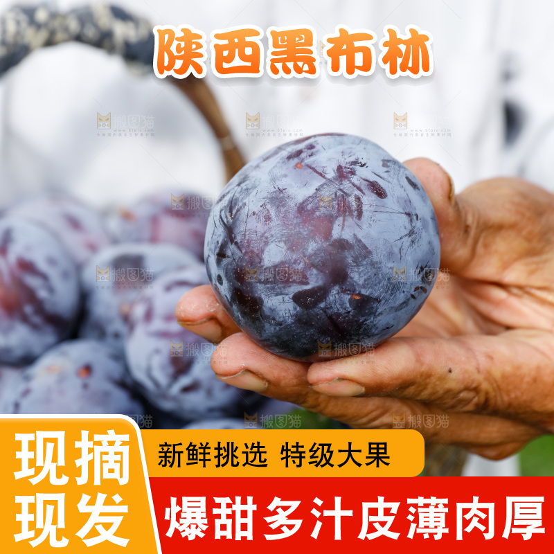 新鲜现摘黑布林
