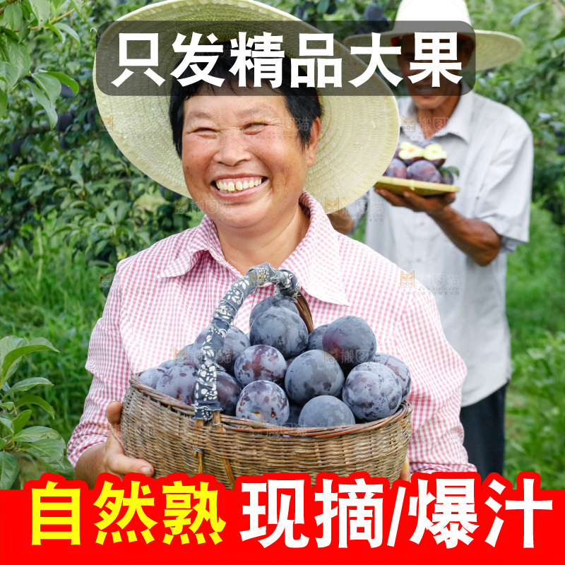 新鲜现摘黑布林