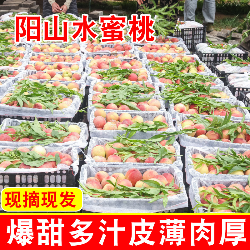 手里拿着现摘水蜜桃