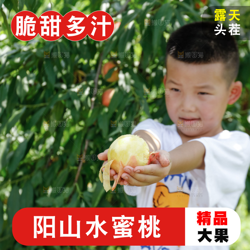 手里拿着现摘水蜜桃