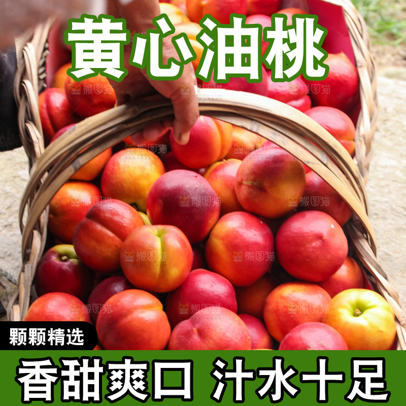 现摘的新鲜黄心油桃