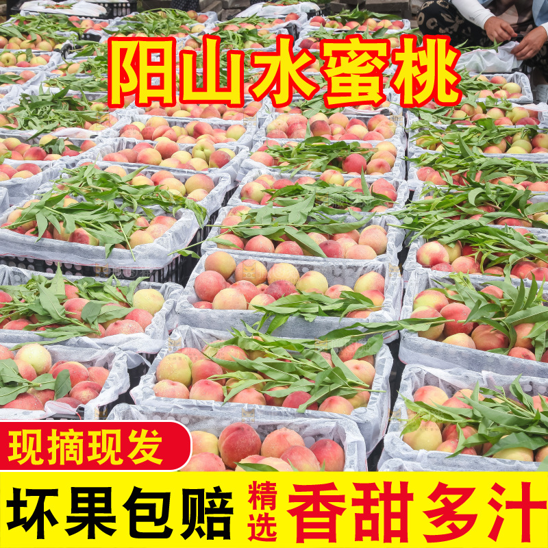 手里拿着现摘水蜜桃