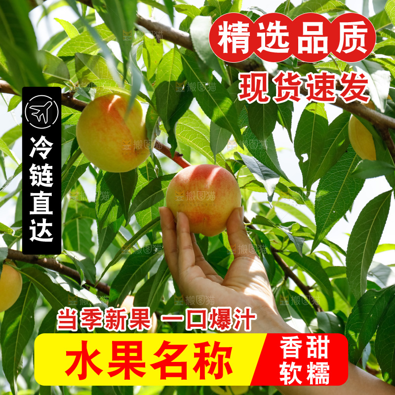 手里拿着现摘水蜜桃