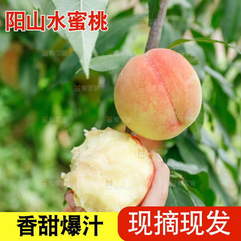 手里拿着现摘水蜜桃