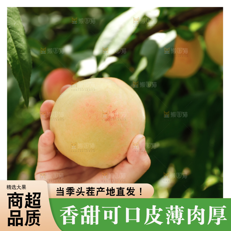 手里拿着现摘水蜜桃