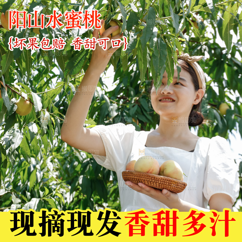 手里拿着现摘水蜜桃