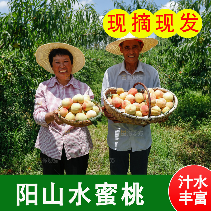 手里拿着现摘水蜜桃