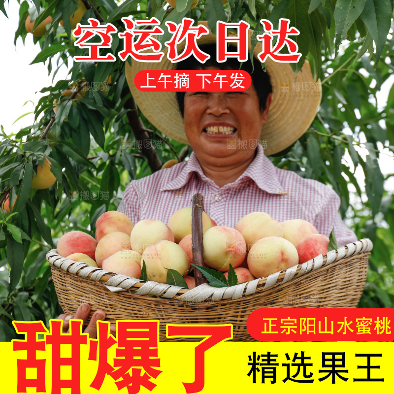 手里拿着现摘水蜜桃