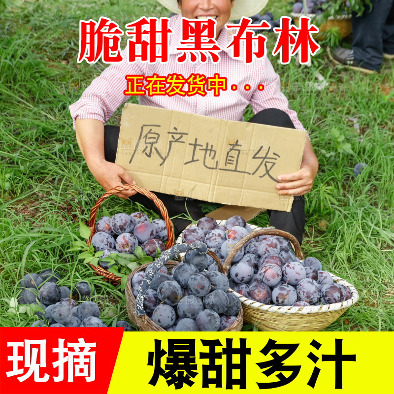 新鲜现摘黑布林