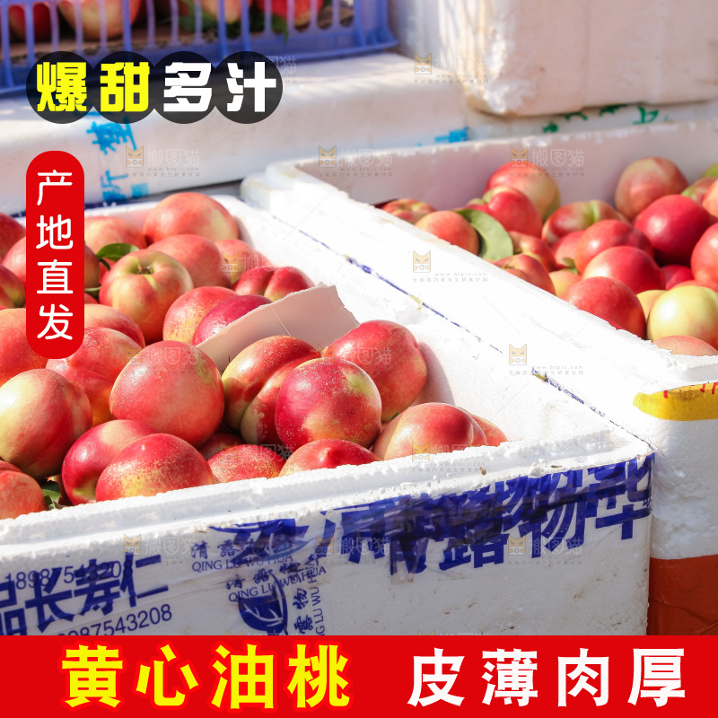 现摘的新鲜黄心油桃