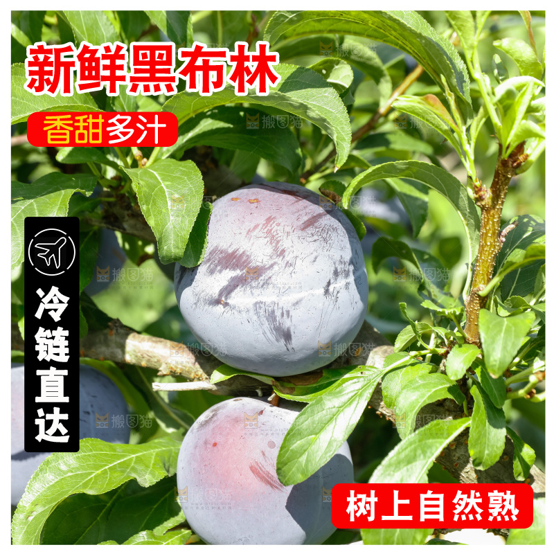 新鲜现摘黑布林