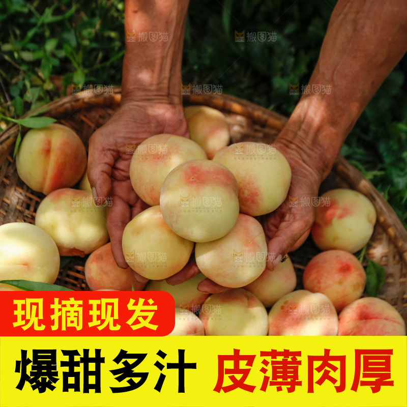 手里拿着现摘水蜜桃