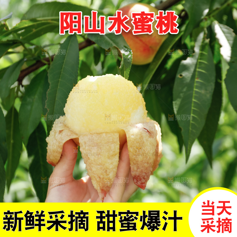 手里拿着现摘水蜜桃